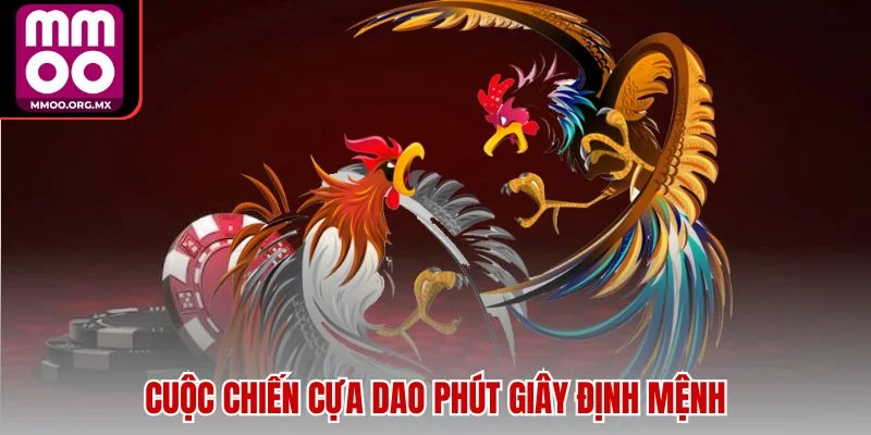 Cuộc chiến cựa dao phút giây định mệnh Cuộc chiến cựa dao phút giây định mệnh