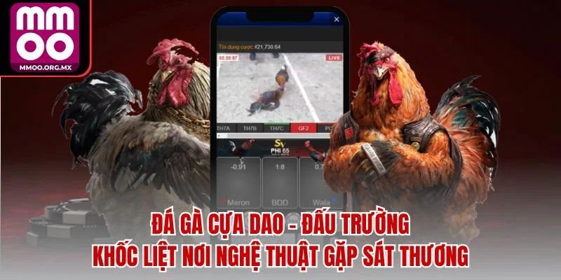 Đá Gà Cựa Dao - Đấu Trường Khốc Liệt Nơi Nghệ Thuật Gặp Sát Thương Đá Gà Cựa Dao - Đấu Trường Khốc Liệt Nơi Nghệ Thuật Gặp Sát Thương