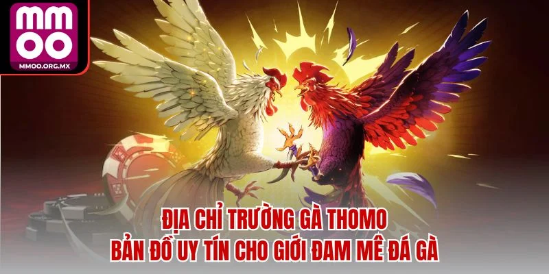 Địa Chỉ Trường Gà Thomo – Bản Đồ Uy Tín Cho Giới Đam Mê Đá Gà Địa Chỉ Trường Gà Thomo – Bản Đồ Uy Tín Cho Giới Đam Mê Đá Gà