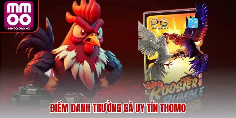 Điểm danh trường gà uy tín Thomo Điểm danh trường gà uy tín Thomo