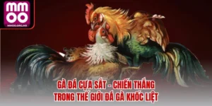 Gà đá cựa sắt - Chiến Thắng Trong Thế Giới Đá Gà Khốc Liệt