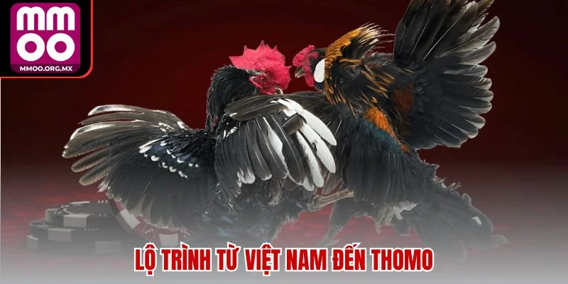 Lộ trình từ Việt Nam đến Thomo Lộ trình từ Việt Nam đến Thomo