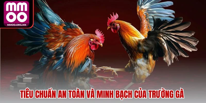 Tiêu chuẩn an toàn và minh bạch của trường gà Tiêu chuẩn an toàn và minh bạch của trường gà