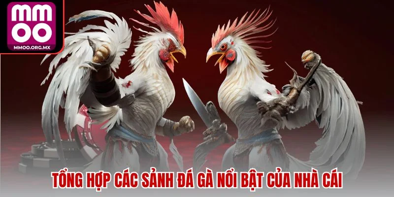 Tổng hợp các sảnh đá gà nổi bật của nhà cái