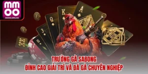 Trường Gà Sabong – Đỉnh Cao Giải Trí và Đá Gà Chuyên Nghiệp