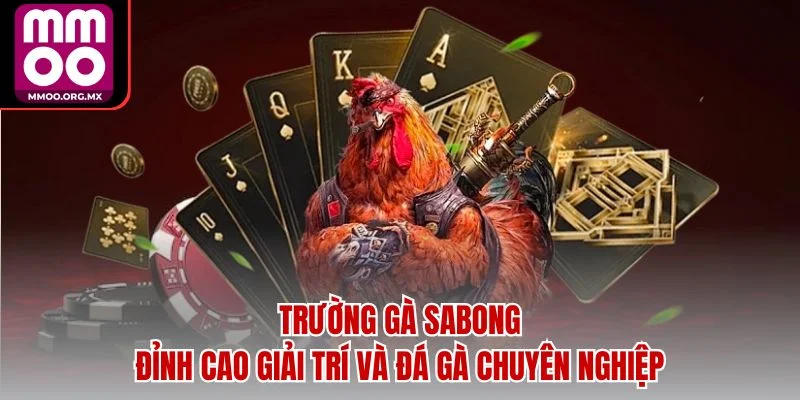 Trường Gà Sabong – Đỉnh Cao Giải Trí và Đá Gà Chuyên Nghiệp Trường Gà Sabong – Đỉnh Cao Giải Trí và Đá Gà Chuyên Nghiệp
