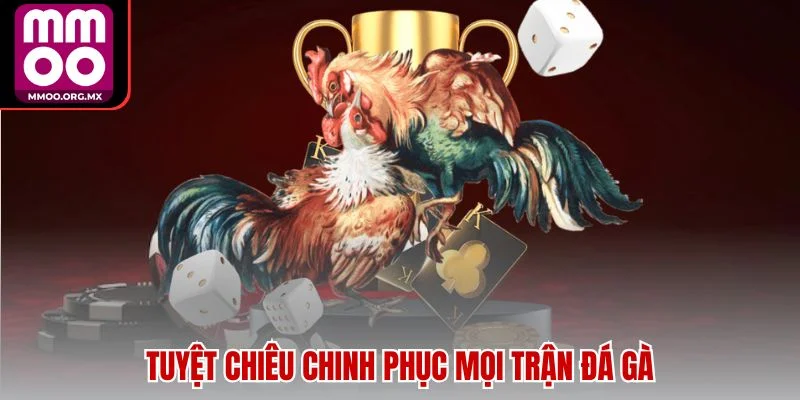 Tuyệt chiêu chinh phục mọi trận đá gà Tuyệt chiêu chinh phục mọi trận đá gà